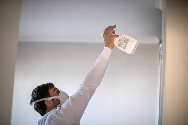 Best Affordable Mold Removal  in Hawaiian Acres, HI