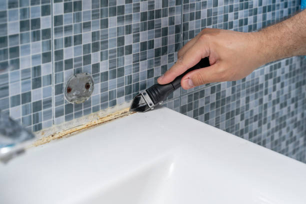 Best Local Mold Removal Service  in Hawaiian Acres, HI
